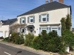 Gîte familial avec terrasse et vue sur la Loire - FR-1-590-430